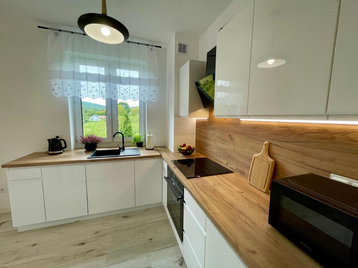 Apartament Jak Marzenie Ustrzyki Dolne Buitenkant foto